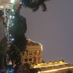 rizi