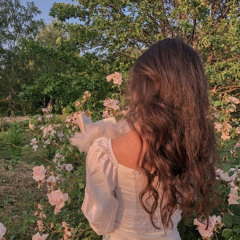 Sohila solyy