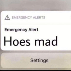 prettybitcheslovetrap