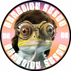 CAMELION SESTO