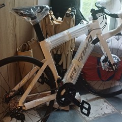 개섹시한엘파마