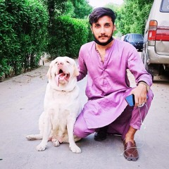 Raja Hamza