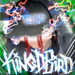 King D Bird