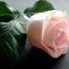 أبو عبدالعزيز الشيذاني