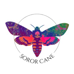 Soror Cane