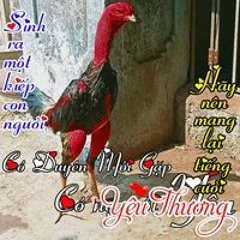 Lê Văn Nguyện