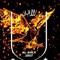 Ebrahim Allam