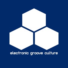 electronic groove culture