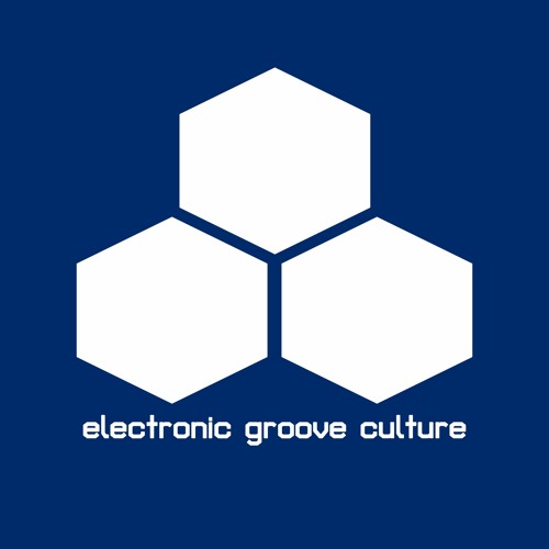 electronic groove culture — artist photo
