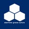 electronic groove culture