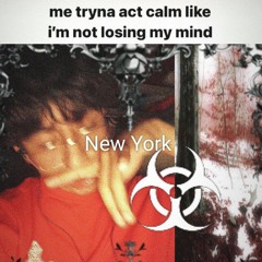 Denzvmp