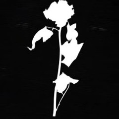 withered roses