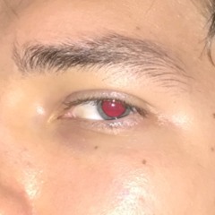Kieś