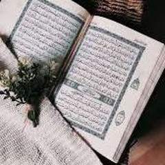 ادهم محمد