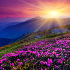 Sunmouflow