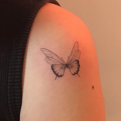 Cinnabarmoths