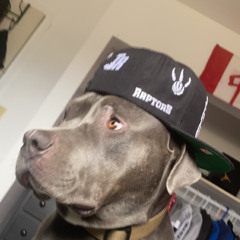 g money