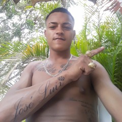 vulgu_dido