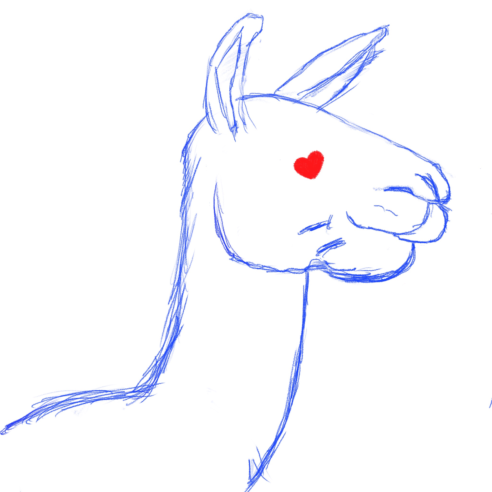 Ask The Llama