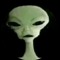 bvtch 👽