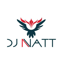 Dj natt