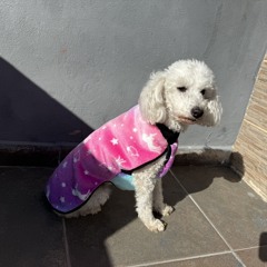 Copy of LOS HERRERA / Zapada EN VIVO en UN POCO DE RUIDO!