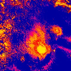 Evian Blando ( Evan Dando )