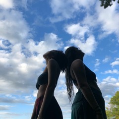 Suburban Marine Life