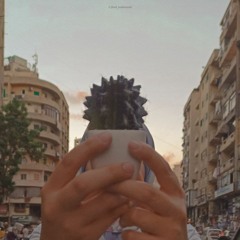 jihad