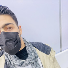 Arafat M Elejla
