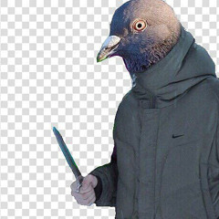 초고교급미대생