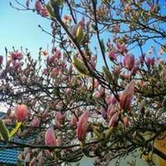 Melanie Karsten Niedzial