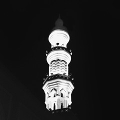 صالح الانصاري