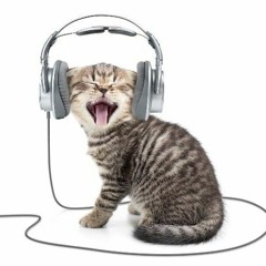 ☆STETTINI☆TEAM☆