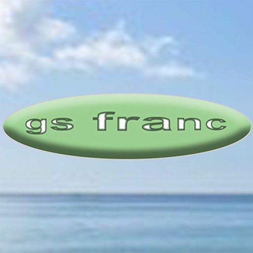 gs franc’s avatar