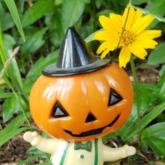 The Midwest(Soup and Newt)