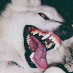 shuna