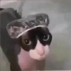 ✨🩷🌸PoOkIe🌸🩷✨