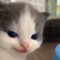 ✦muvuuwu✦