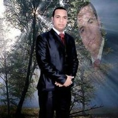 حسن سلامه حميده