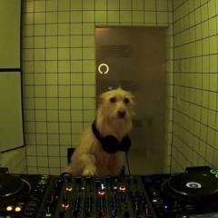O.od