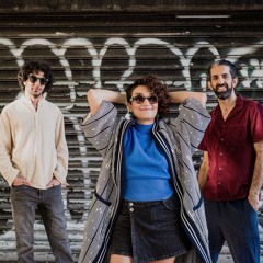 Parnaz Partovi and The Electric Monks