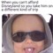 Shane Murison