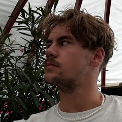 noah leevin (ch)
