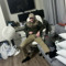 hunter moxley