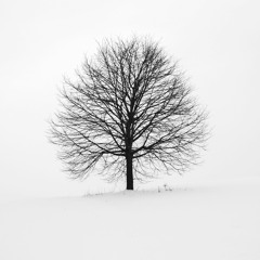 4142