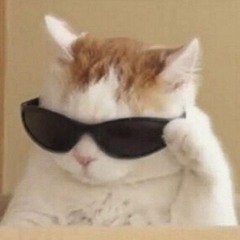 User 91039985