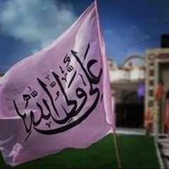 Syed Naqi Raza Naqvi