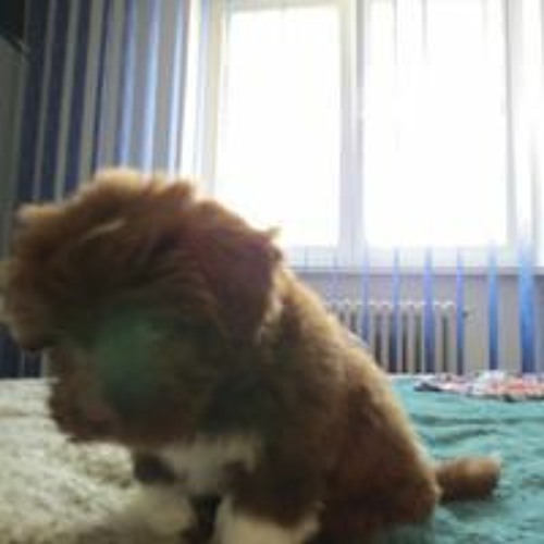 Diana Ross - Upside Down (Kid Goodman Rework)