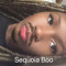 Sequoia